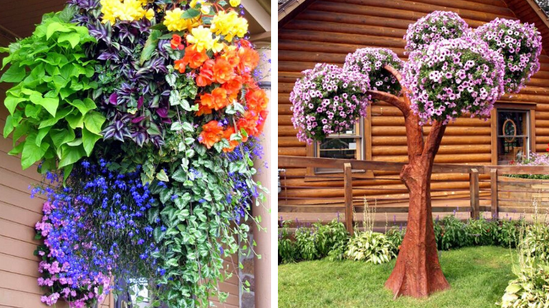 flower beds in the country