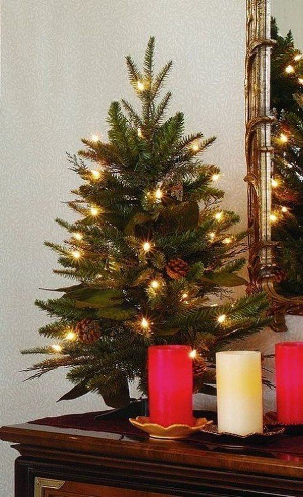 vánoční strom