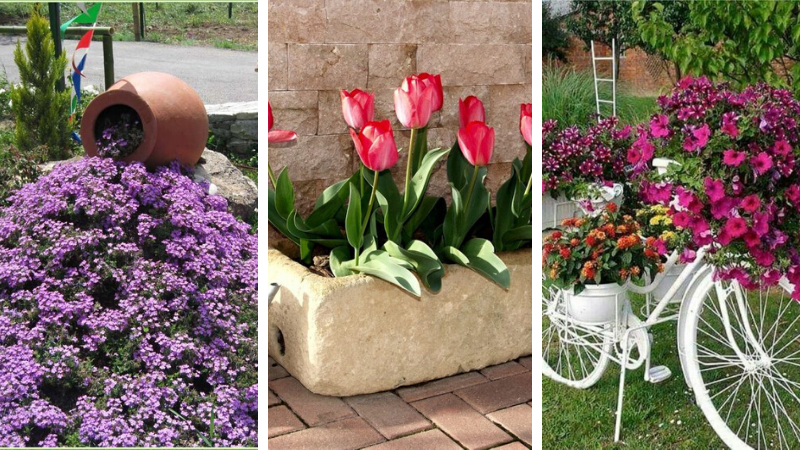 conception de parterre de fleurs