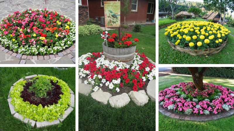 simple flower beds in the country