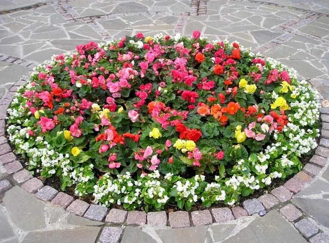 jednoduché květinové záhony v zemi