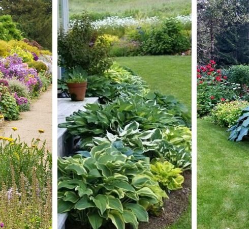 landscape design flower beds