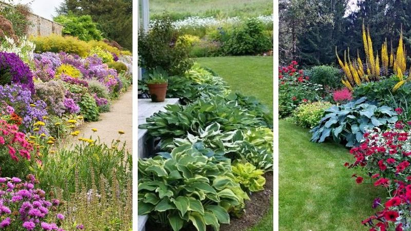 landscape design flower beds