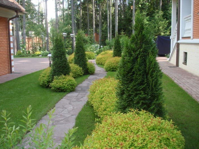 zahradní design