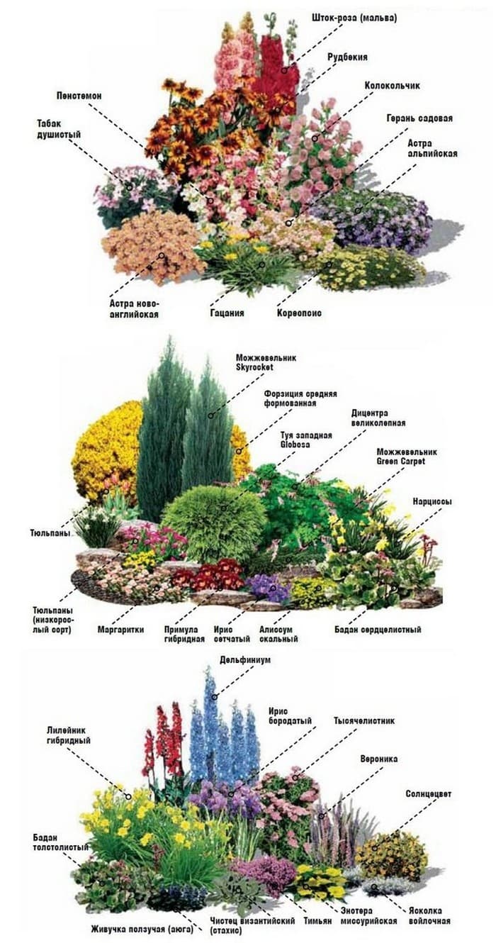 zahradní design