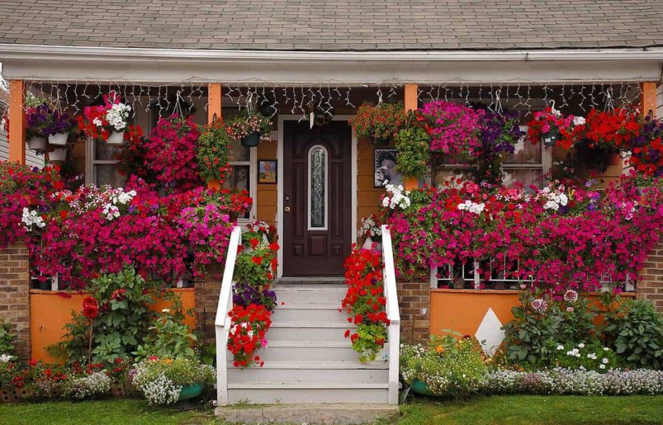 conception de parterre de fleurs