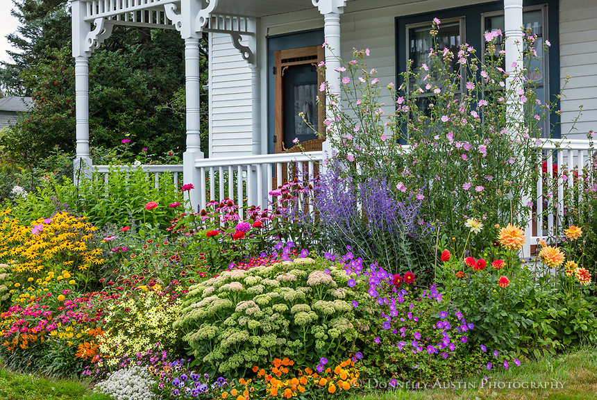 conception de parterre de fleurs