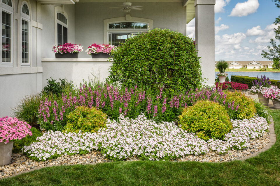 conception de parterre de fleurs