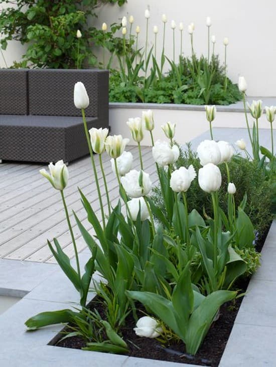 courtyard interior