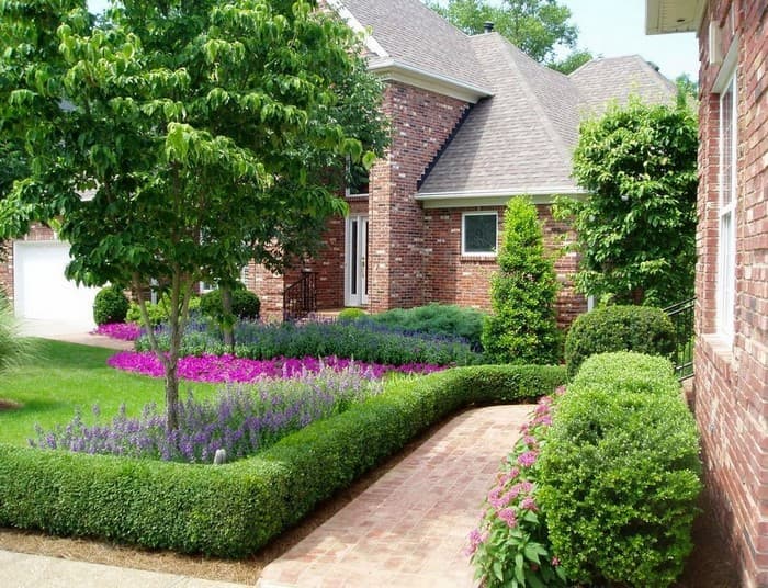 yard landscaping