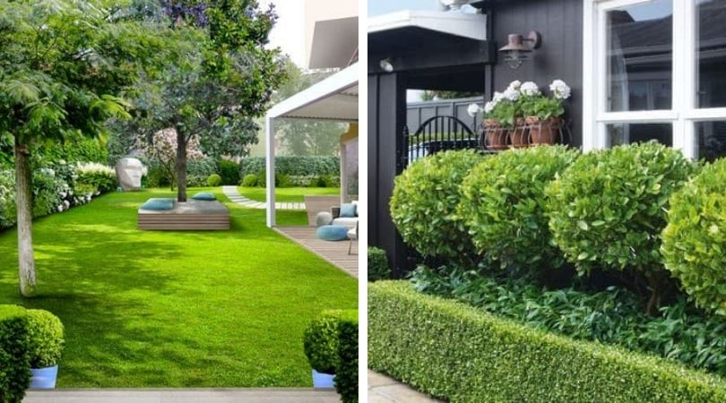 courtyard design in a private house