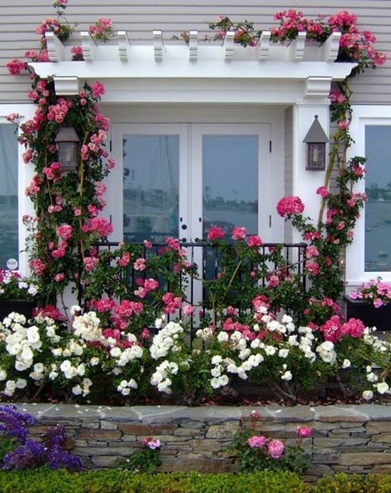 קישוט ערוגת פרחים בחזית הבית